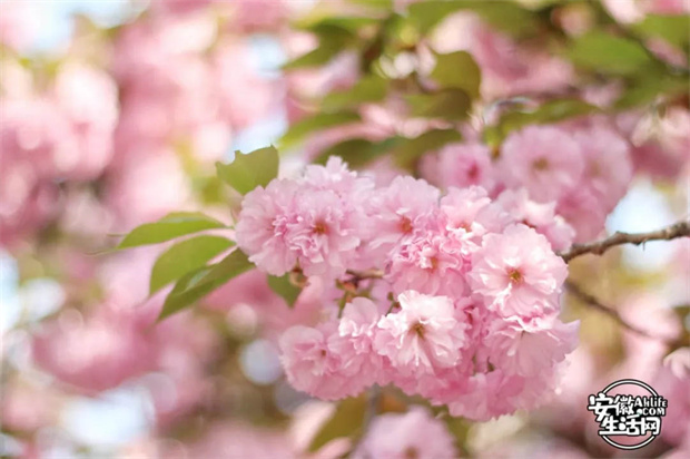 首页- 人生就是博中国官网入口