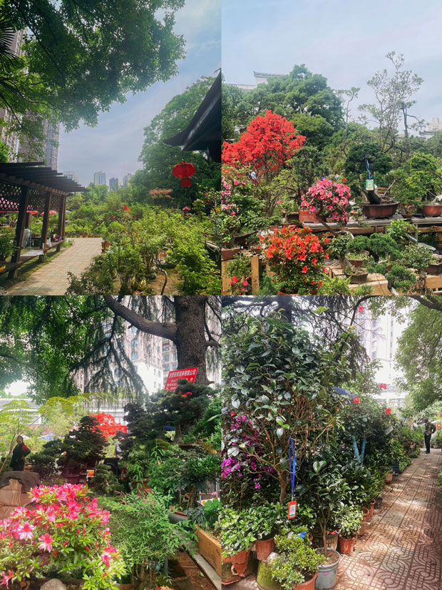 首页- 人生就是博中国官网入口