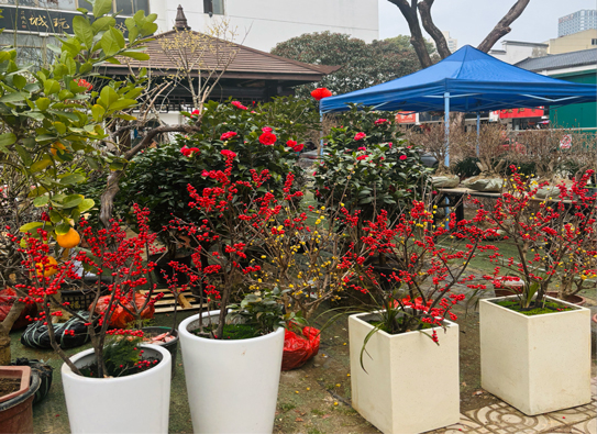 首页- 人生就是博中国官网入口