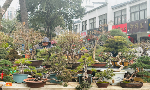 首页- 人生就是博中国官网入口