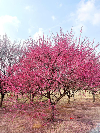 首页- 人生就是博中国官网入口
